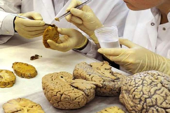 5c3853b295a597025f8b459b