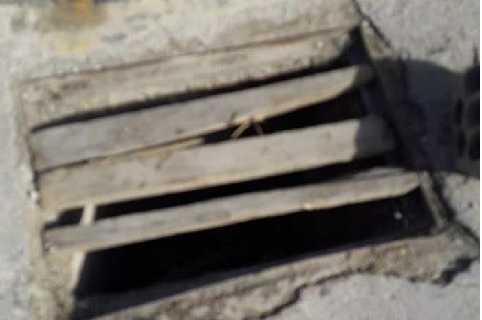 49793823_2153443008046878_7411823430619627520_n