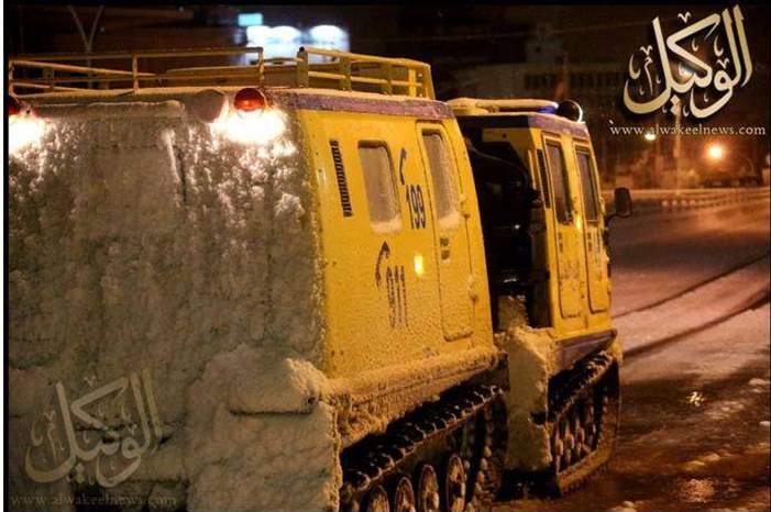 12019621155523380452