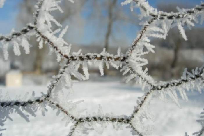 1201910222940527254674