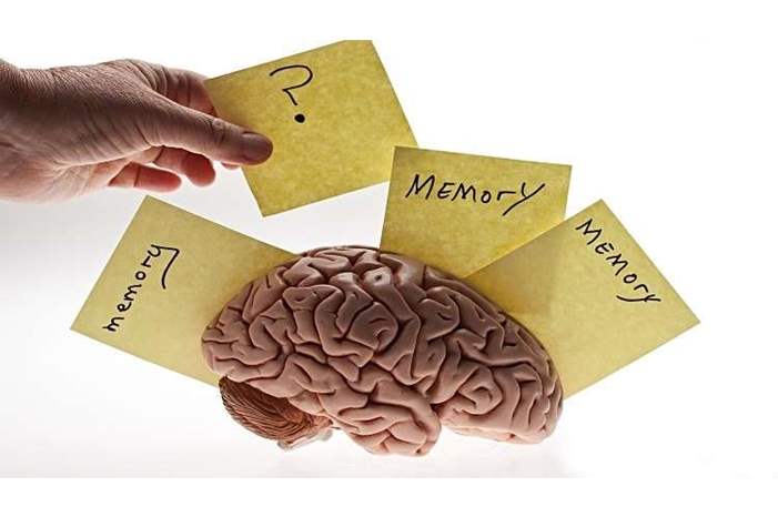 5c3de9b7d43750f3608b4611