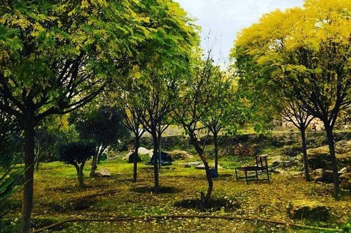 اربد بني كنانه