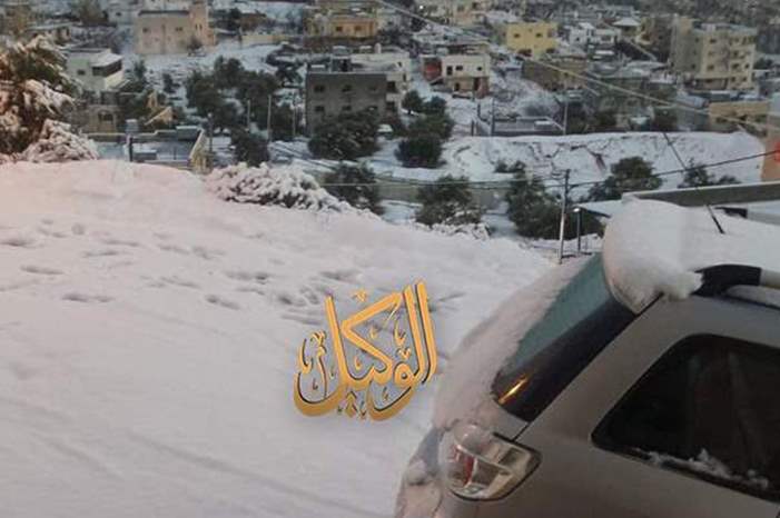 120197103323892413928