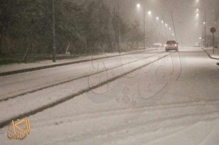 0ff98488-5a7b-4448-8132-b5da2189a142