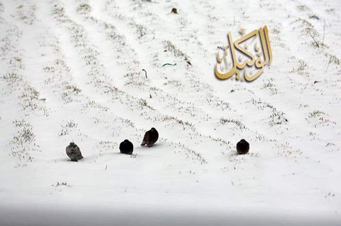 120196134554907770284