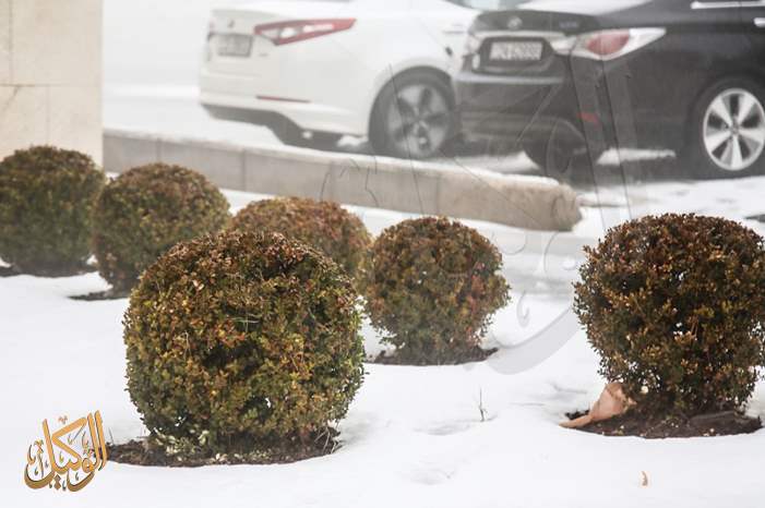 d4725c79-f70f-4d95-a4d6-b57fd07fe8ee