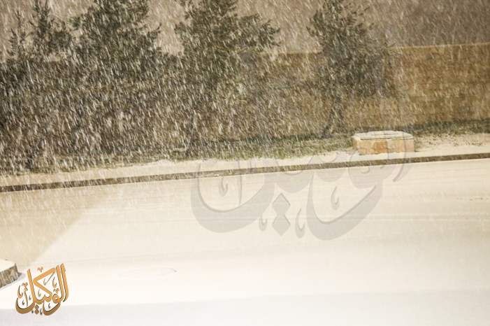 8668d7a8-5812-42b4-bef8-7be959a91395