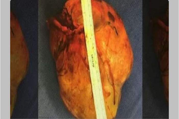 5c3e00b8d43750b77c8b457f