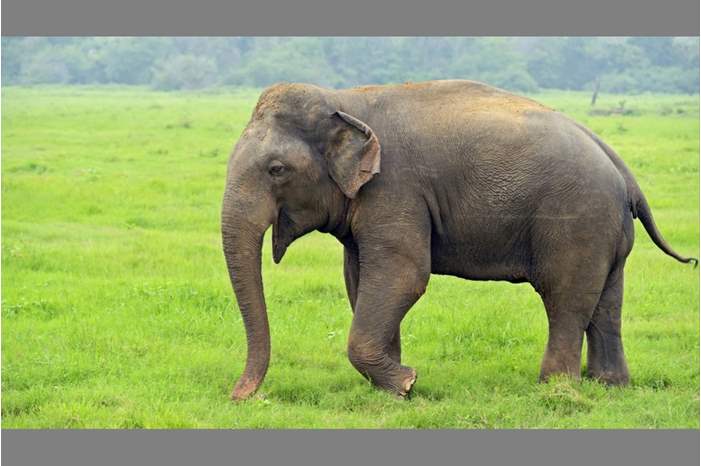 https_%2F%2Fblueprint-api-production.s3.amazonaws.com%2Fuploads%2Fcard%2Fimage%2F887009%2F49d251da-d190-49d8-80ad-5f12221574b4