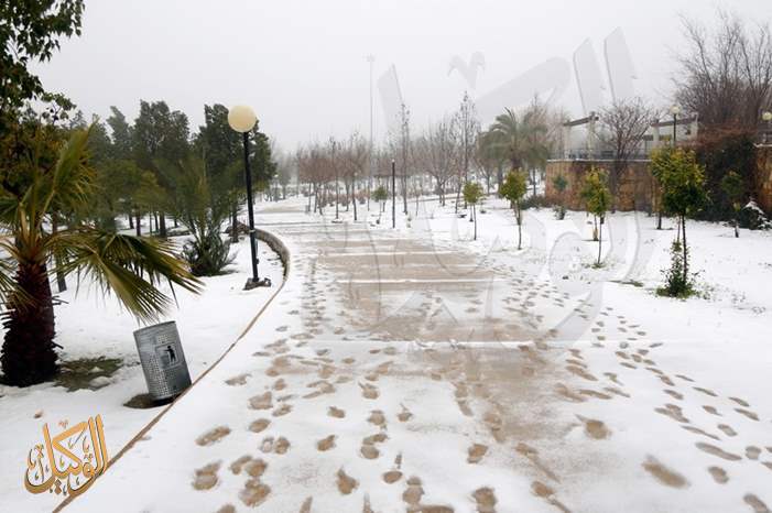 b13dc2e1-4d6d-4c23-a5e1-d632c6131e86