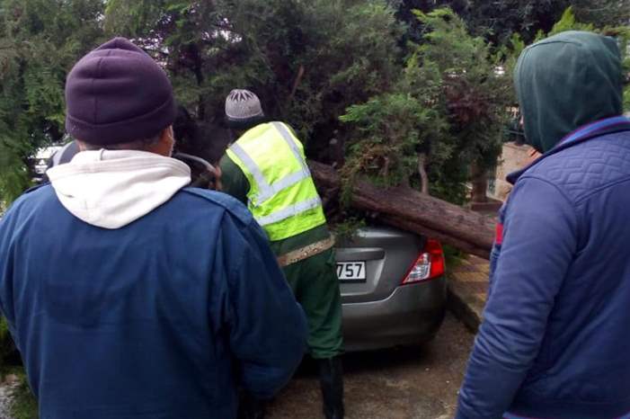 x143071.jpg.pagespeed.ic.up6AiWWj2-