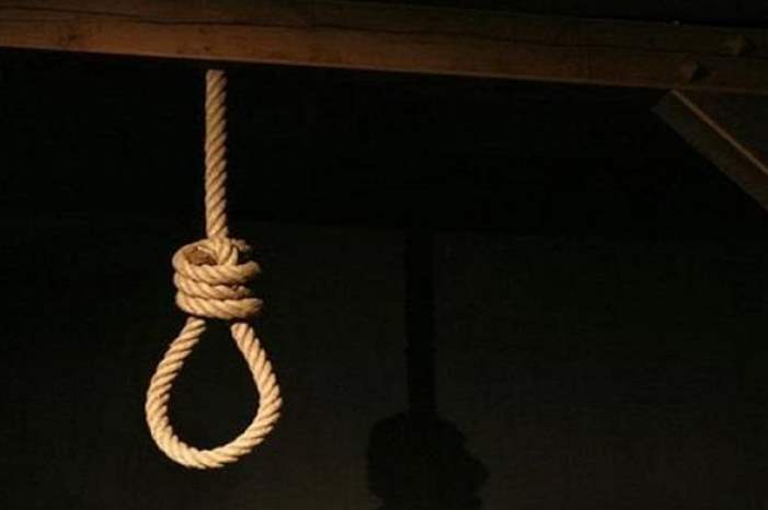 779-jpg-12428545648691727