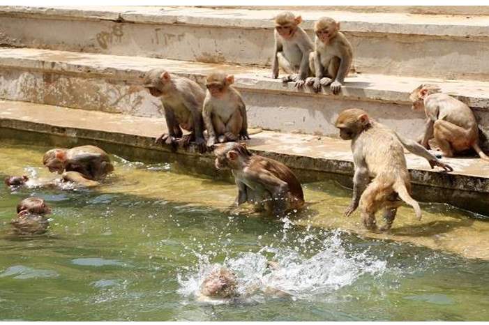 5c4093a995a5976c298b4578