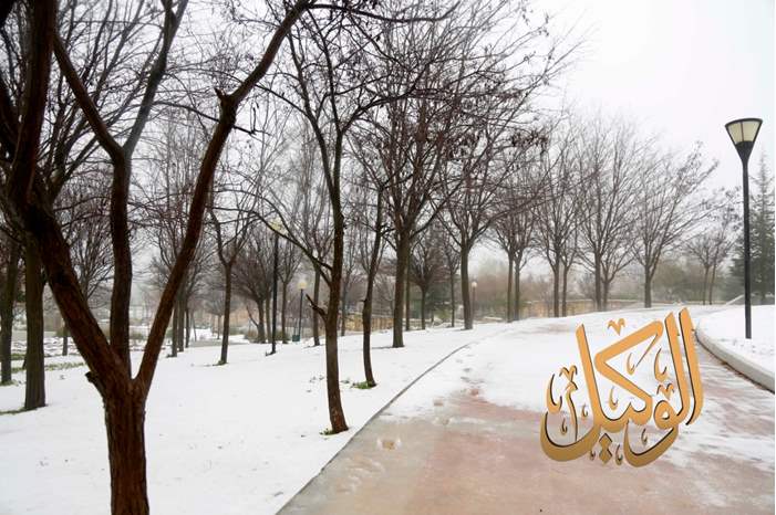 الزائر الأبيض ينشر الفرح في شوارع عمان