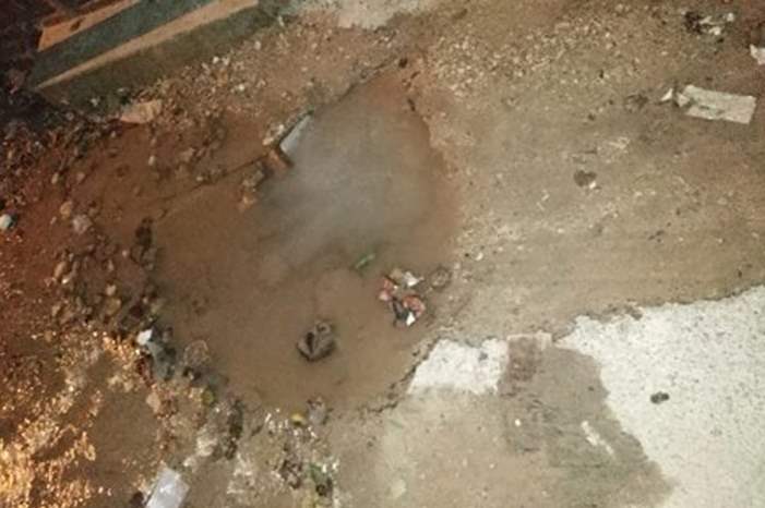 50658159_1877418852367191_2387378414957887488_n