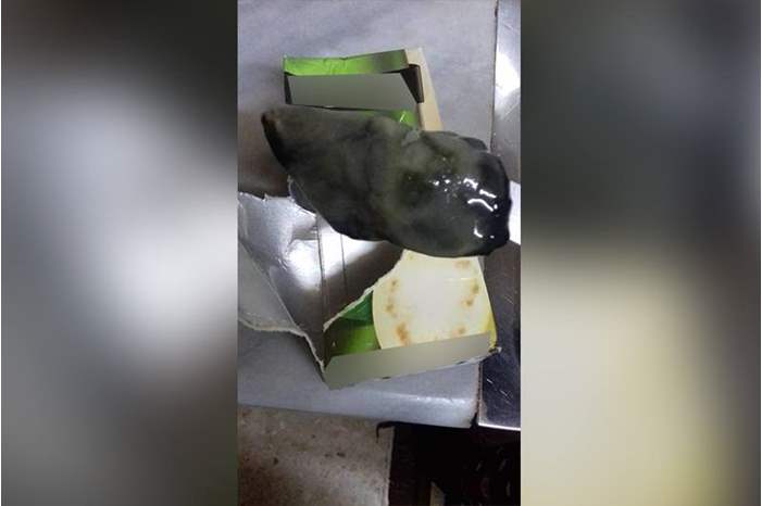 49178032_685402348520305_1213151029294530560_n