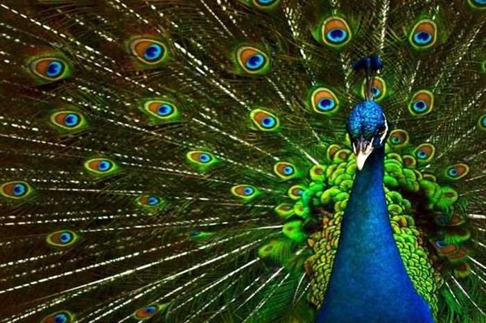 5c458ec4d43750a3318b45a5