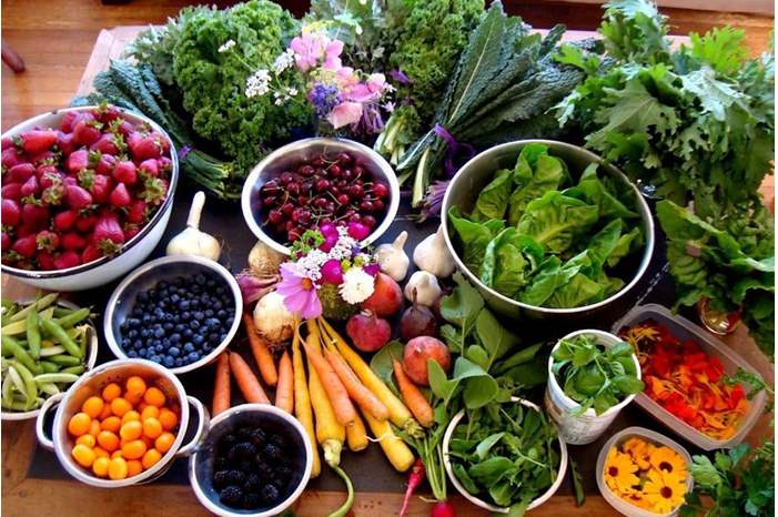 food-justice-grace-hearth_cal-corps-berkeley_130506-article