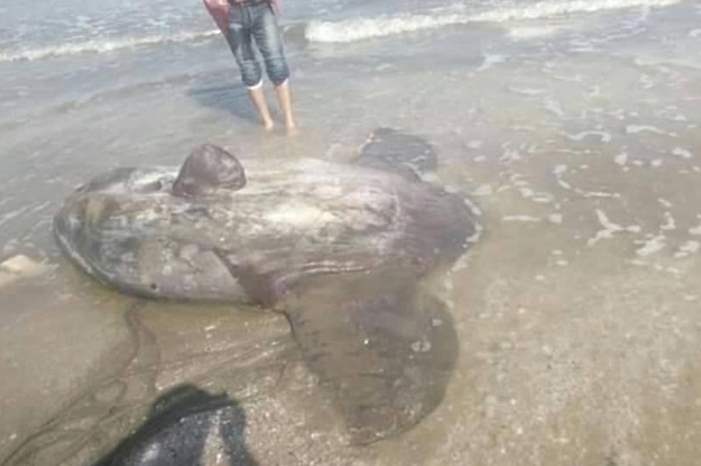 5c739a9f-fd15-4118-82ed-84406539cb90_16x9_1200x676