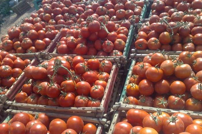 NB-259022-636840912048504850