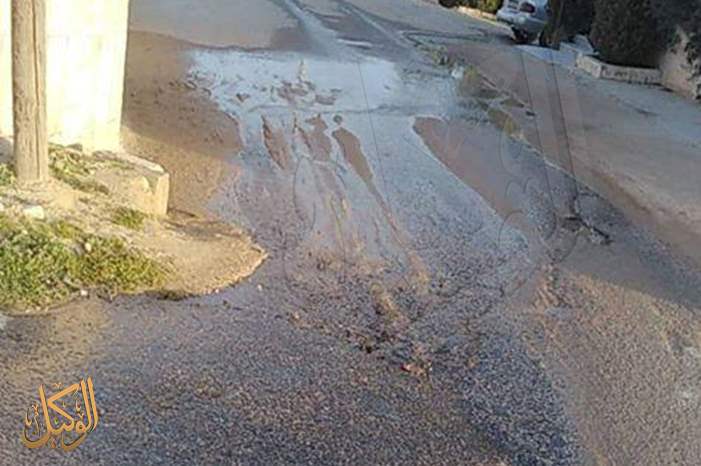 50979520_330011724520510_8905230945813004288_n