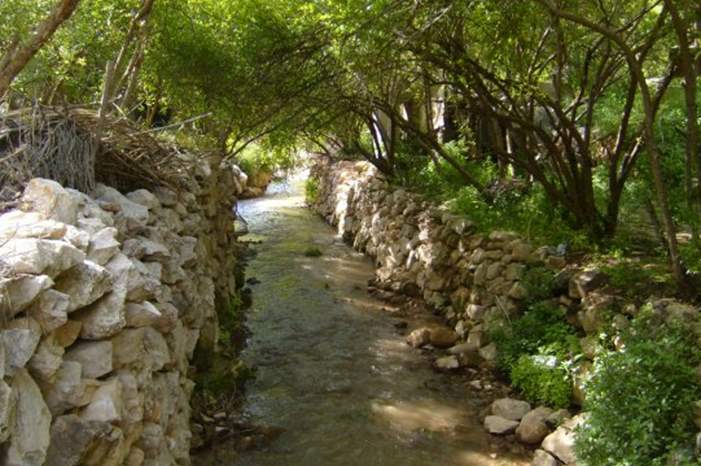 أرشيفية لوادي الريان