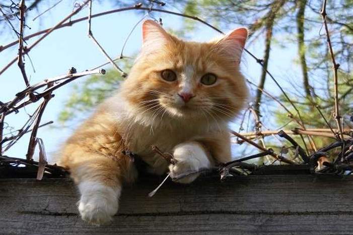 5c4c33cdd4375017308b4576