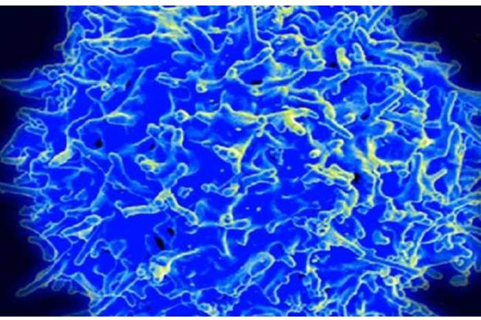 5c4ffcdbd43750f10c8b460c