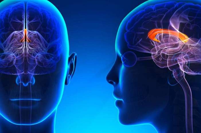 اكتشاف-غير-مسبوق-لاستعادة-الذكريات-التي-أصبحت-في-طي-النسيان-1300x600