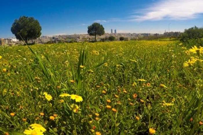 1201922173040501608707