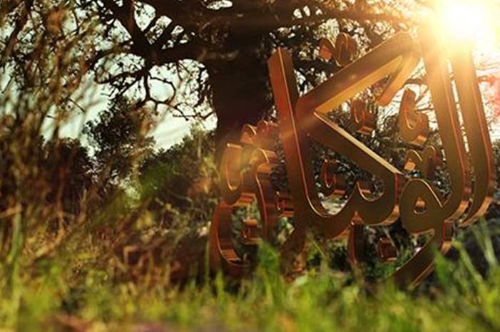 17098305_1351961134879227_5957252795425895865_n