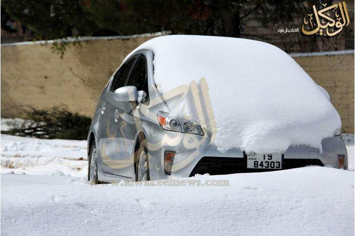 120193115941841953168