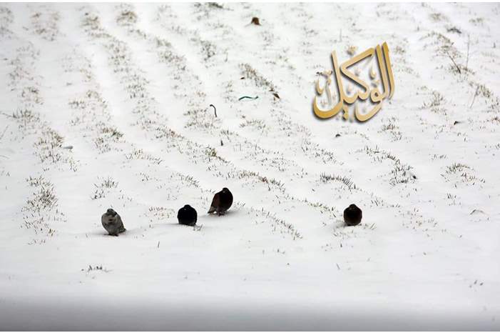 49899437_487863545076631_8133192153242271744_n