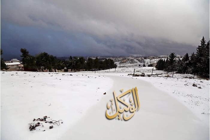 49498885_373670973182391_215447104439451648_n