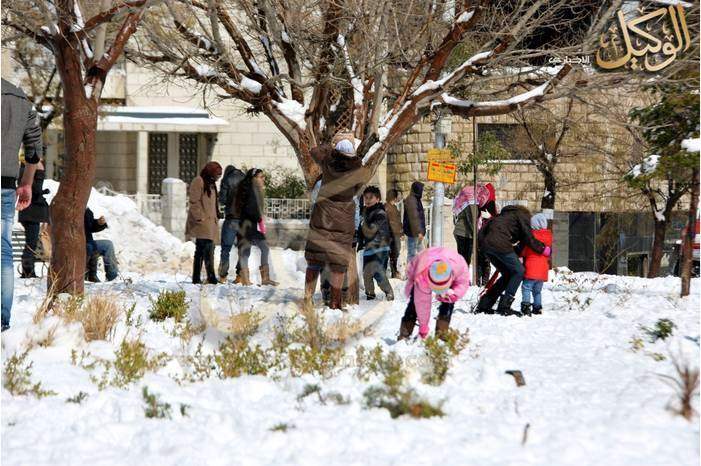 49428996_725960287804102_828683424020561920_n