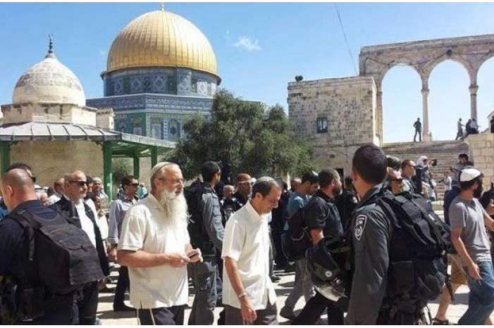 ef5eb971fc2b5e6de117ba3325185263