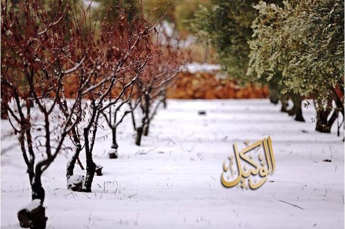 49333508_382985189176187_4287131858312888320_n