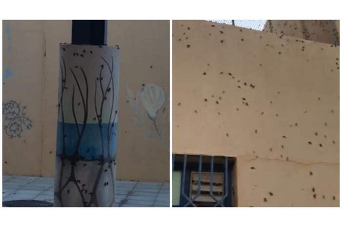 BeFunky-collage-1-1-768x432