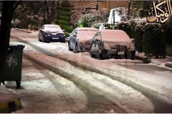 120196185020526459731