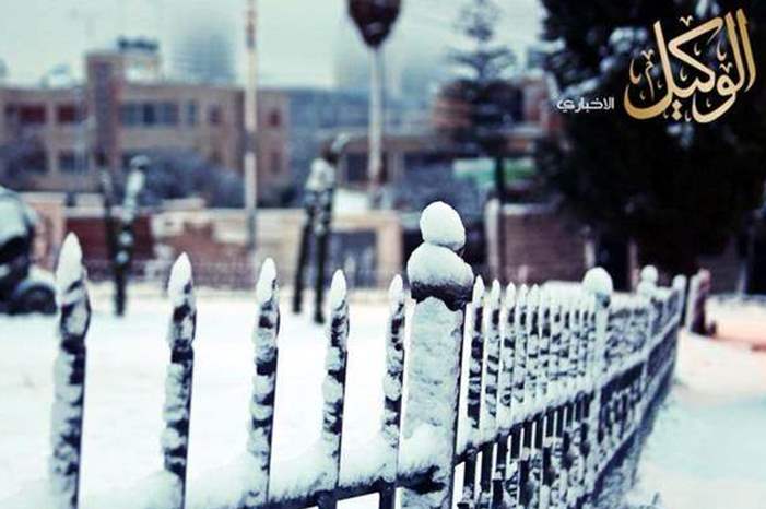 12019783426747602493