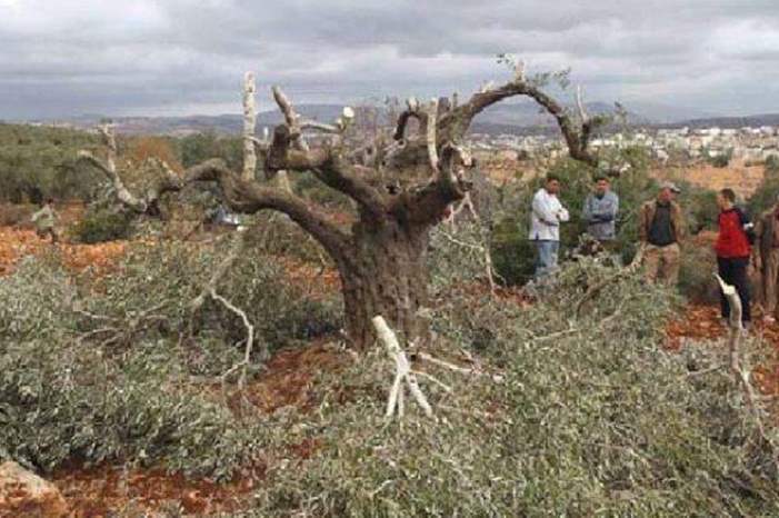 12180817177370862267197851337716