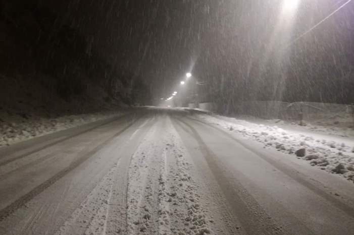 file_f75035875e_61111111