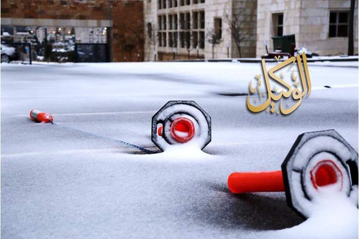 120195125927332281344