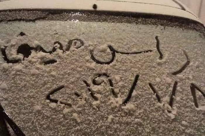 12019913343633436405