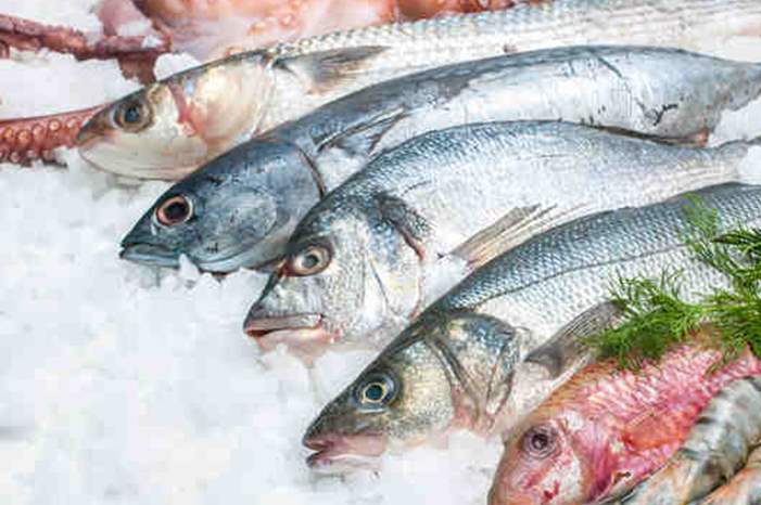 حفظ-الأسماك