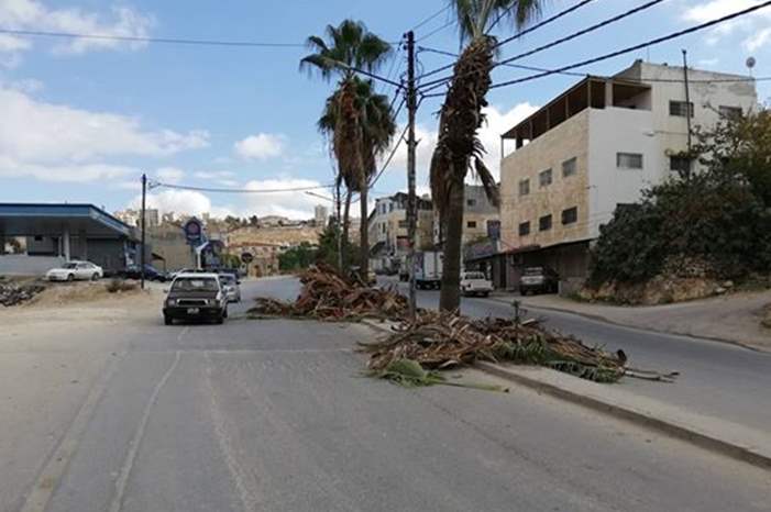 47322938_303685906918523_4757213735347552256_n