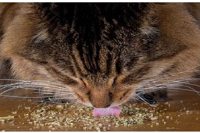 5c0f9a6dd437500e4e8b45f8