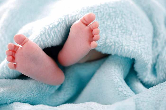 cd42f848-afad-4362-a90c-3b5d2c43e07d_16x9_1200x676