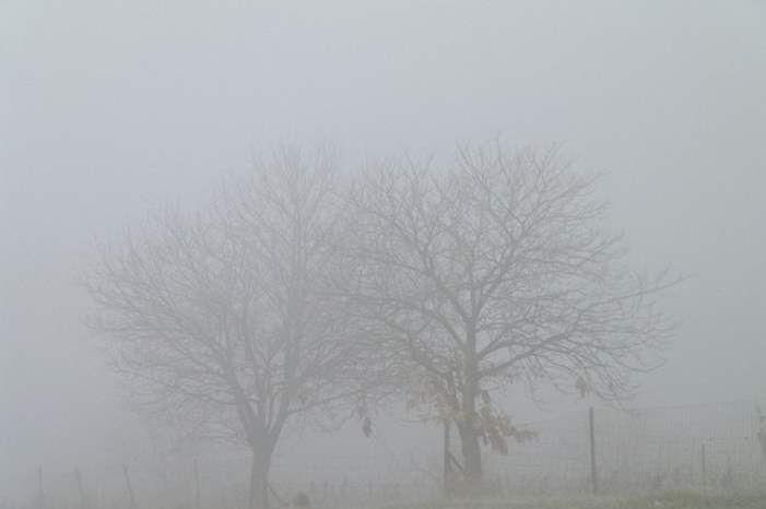 1120182623257978375401