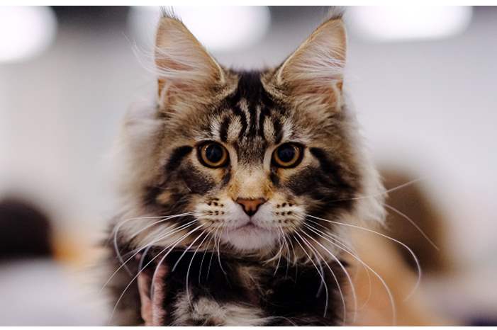 5c126f43d43750093b8b457c